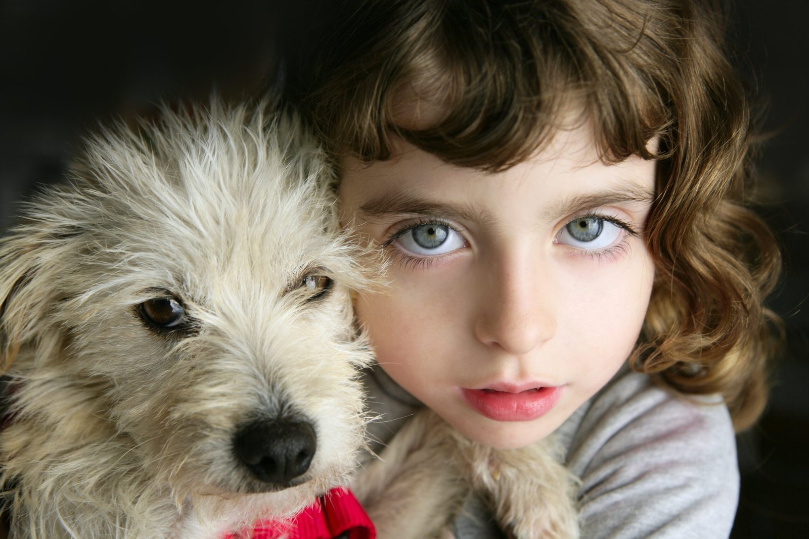 blue eyes girl hug a hairy puppy little dog portrait